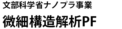 ナノプラ微細構造解析プラットフォーム